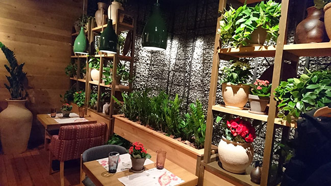 Грузія поруч: Хачапурі і Вино відкриває два нових ресторани Грузія поруч: Хачапурі і Вино відкриває два нових ресторани