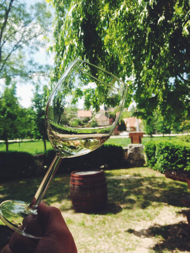 В Киеве пройдет третий фестиваль вина Kiev Food&Wine Festival