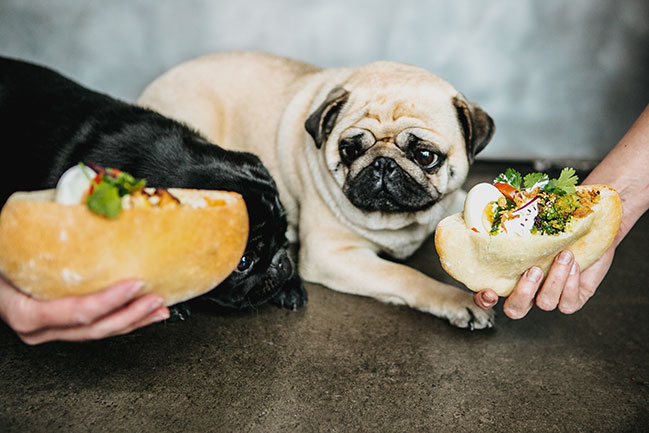 Нове місце (Київ): Юкі+Чапукі на Палаці Україна Нове місце (Київ): Юкі+Чапукі на Палаці Україна