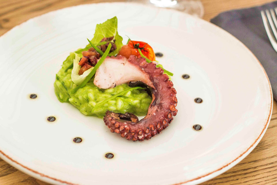 Фитнес со вкусом: ресторан клуба здоровых удовольствий Фитнес со вкусом: ресторан клуба здоровых удовольствий