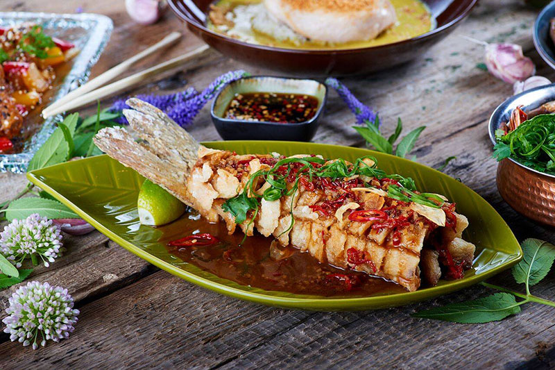 Индокитай в Чашке риса: новое заведение на бульваре Тараса Шевченко Индокитай в Чашке риса: новое заведение на бульваре Тараса Шевченко