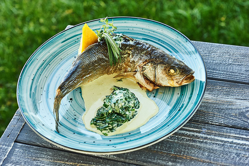 Легкість буття або літо на Дніпровській Рів'єрі Легкість буття або літо на Дніпровській Рів'єрі