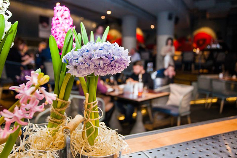 До 100 гривень: що можна спробувати в ресторанах Діми Борисова До 100 гривень: що можна спробувати в ресторанах Діми Борисова