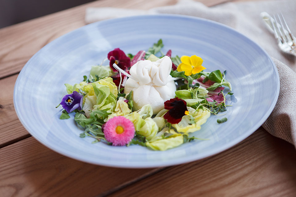 Новое место (Киев): ресторан Fabius на Столичном шоссе Новое место (Киев): ресторан Fabius на Столичном шоссе