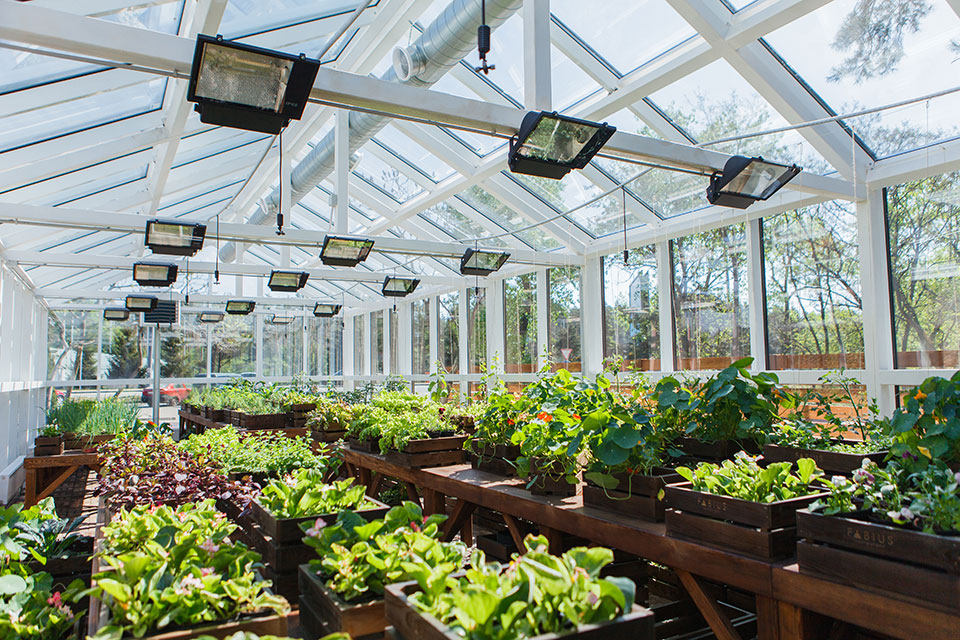 Новое место (Киев): ресторан Fabius на Столичном шоссе Новое место (Киев): ресторан Fabius на Столичном шоссе