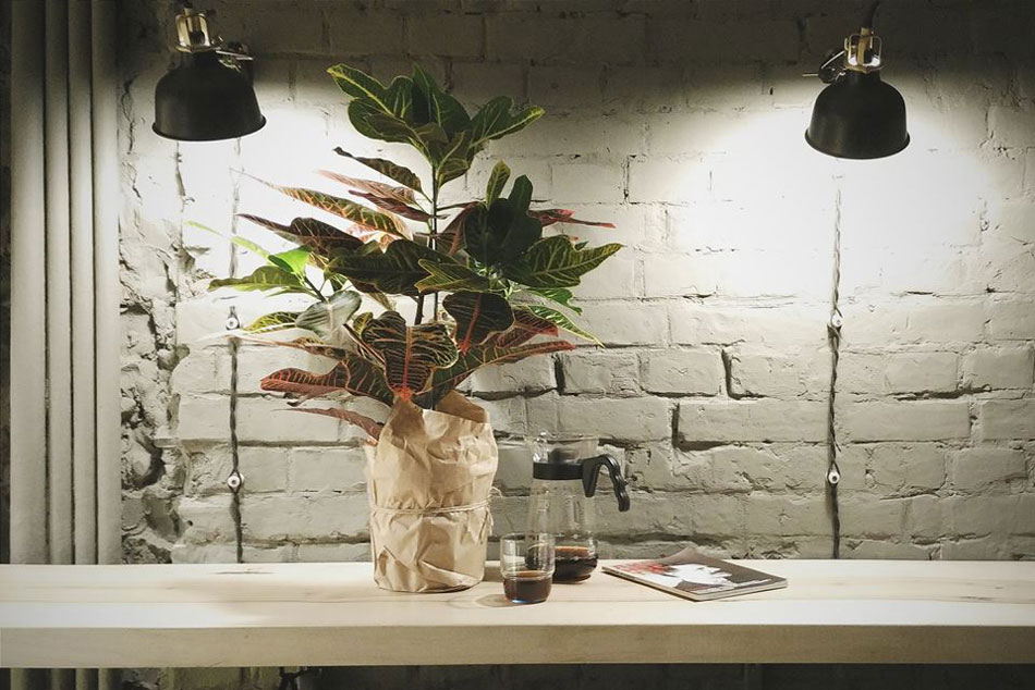 Frank Coffee на Печерске: хороший кофе в хорошем месте Frank Coffee на Печерске: хороший кофе в хорошем месте