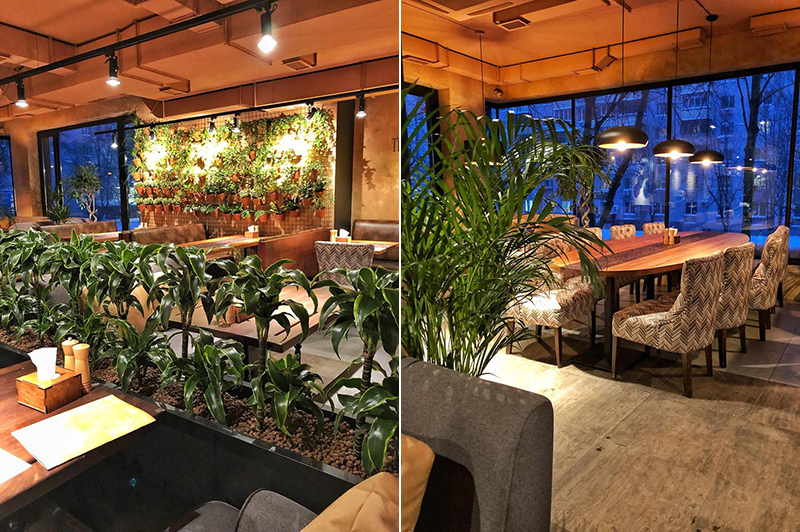 Новое место (Киев): Hummus Bar — ближневосточная кухня на Печерске Новое место (Киев): Hummus Bar — ближневосточная кухня на Печерске