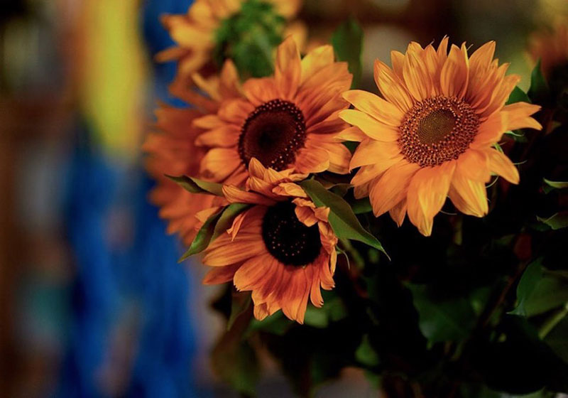 Гід від RestOn: куди йти 23-24 серпня в заклади Києва Гід від RestOn: куди йти 23-24 серпня в заклади Києва