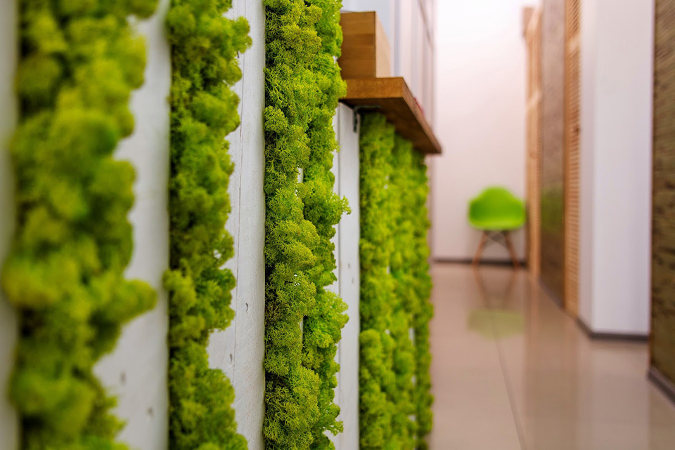 НеобыЧАЙное место: New Tea на Оболони — чайная современного типа НеобыЧАЙное место: New Tea на Оболони — чайная современного типа