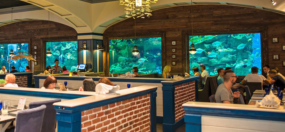 Любить еду на виду: лучшие рестораны Киева с открытой кухней Любить еду на виду: лучшие рестораны Киева с открытой кухней