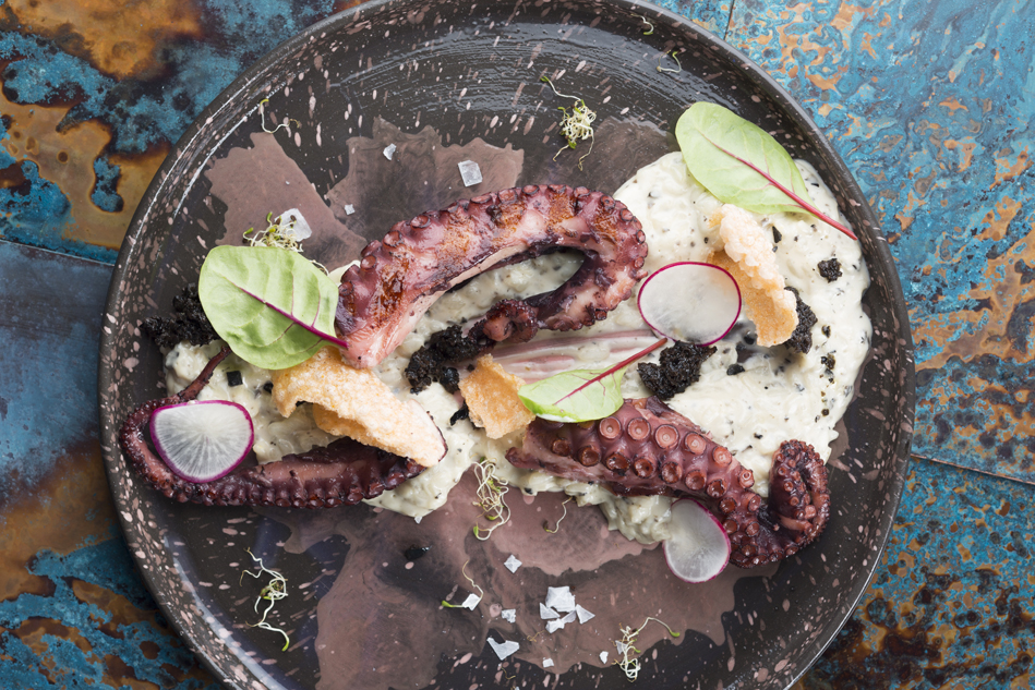 Новое заведение (Киев): рыбный ресторан Новое заведение (Киев): рыбный ресторан