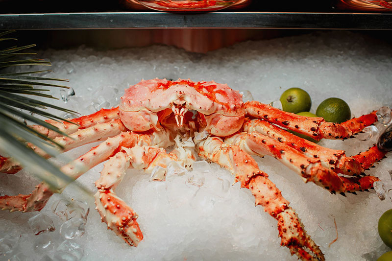 Льодовик, рослинне м'ясо, караоке - розповідаємо про відкриття нових локацій в комплексі QUEEN Льодовик, рослинне м'ясо, караоке - розповідаємо про відкриття нових локацій в комплексі QUEEN