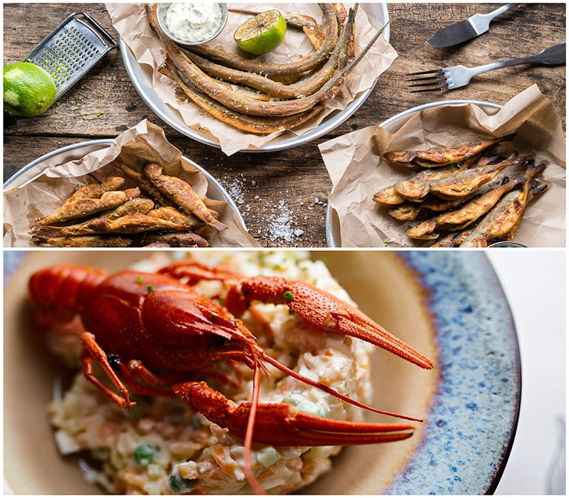 Нове місце (Київ): фішбар Риба-Пила на Палаці Україна Нове місце (Київ): фішбар Риба-Пила на Палаці Україна