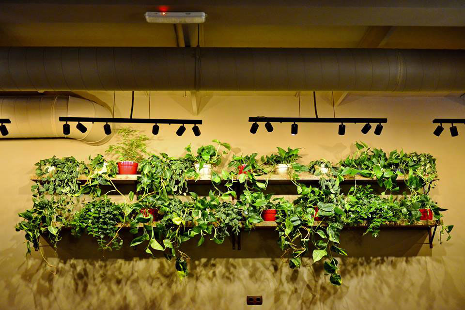 Для SAMOGONщиков: сеть ресторанов Samogon Bar открыла новый ресторан на Оболони Для SAMOGONщиков: сеть ресторанов Samogon Bar открыла новый ресторан на Оболони