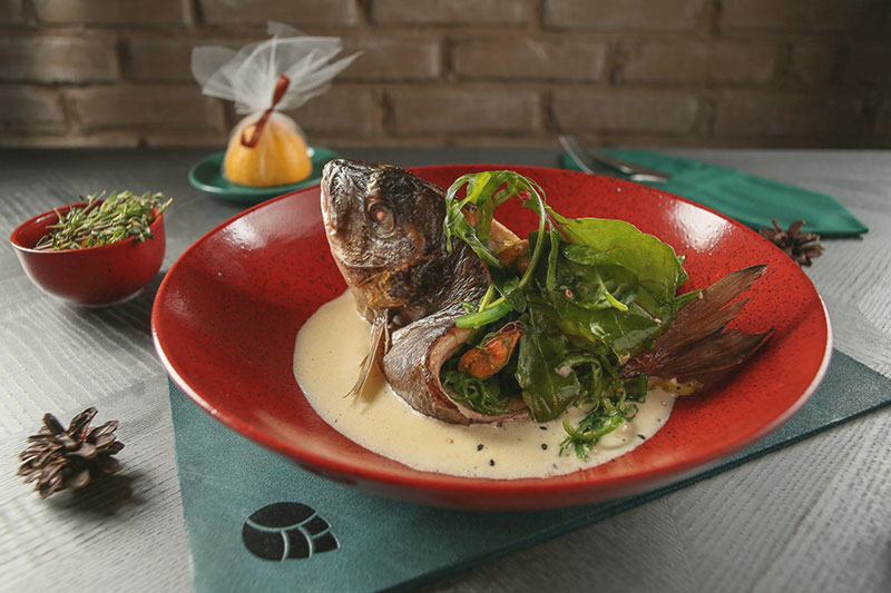 Новое место (Киев): ресторан европейской кухни Шишка Новое место (Киев): ресторан европейской кухни Шишка