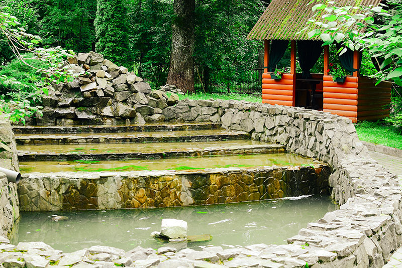 Нове місце: ресторан Діми Борисова Trembita в Трускавці Нове місце: ресторан Діми Борисова Trembita в Трускавці