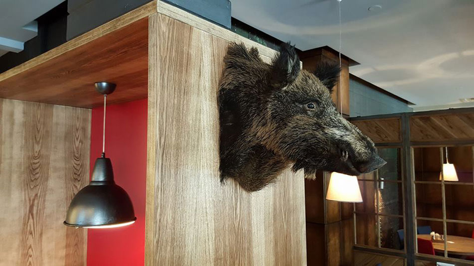 Митерия Митерия