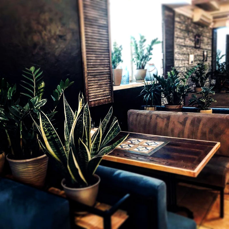 Травень, прощавай: нові ресторани Києва, які відкрилися у травні Травень, прощавай: нові ресторани Києва, які відкрилися у травні