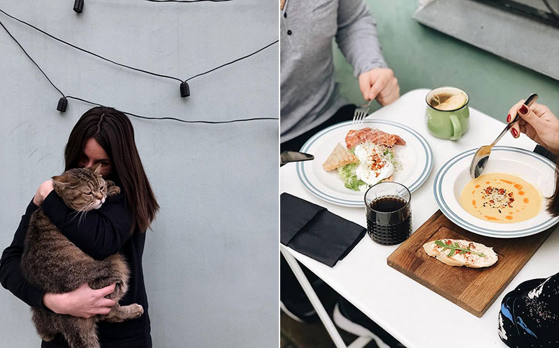 Pets friendly заклади: куди піти з чотириногим другом в Києві Pets friendly заклади: куди піти з чотириногим другом в Києві