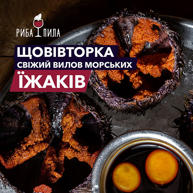Сезон морських їжаків у ресторані Риба Пила Сезон морських їжаків у ресторані Риба Пила
