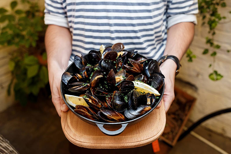 Мідії в ресторанах Києва - де спробувати морський делікатес Мідії в ресторанах Києва - де спробувати морський делікатес
