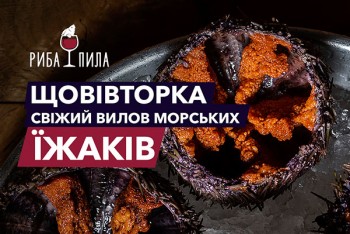 Сезон морських їжаків у ресторані 