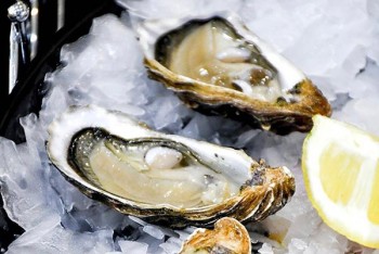 Устриці унікальних видів у ресторані 