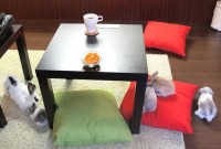 Кафе і кролики