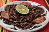 Гид Michelin против насекомых