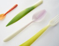 Столовые приборы с грядки