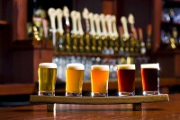 В британском университете открыли бар для изучения алкоголизма