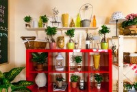 Новое место (Киев): «Моцарелла-кафе»