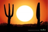 Краща реклама ресторанів і кафе