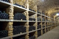 Топ-5 лучших дегустационных залов Украины, где можно попробовать вино