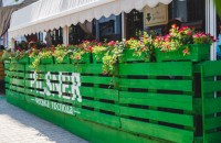 Новое заведение: 