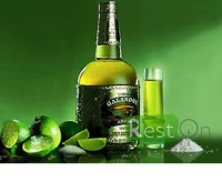 Крепкие алкогольные напитки мира