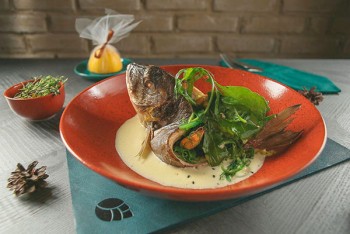 Нове місце (місто Київ): ресторан європейської кухні Шишка