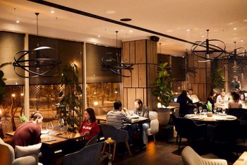 Нове місце (Київ): ресторан Not Only Fish на Великій Васильківській